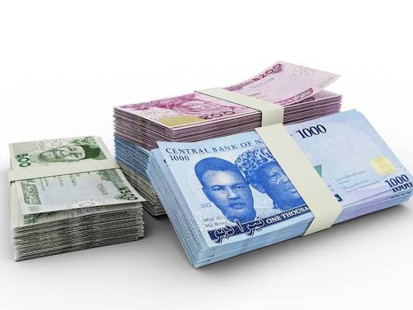 Naira Posts Marginal Decline in Official Foreign Exchange Market